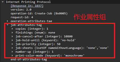 Wireshark_YMINQ0FpKs
